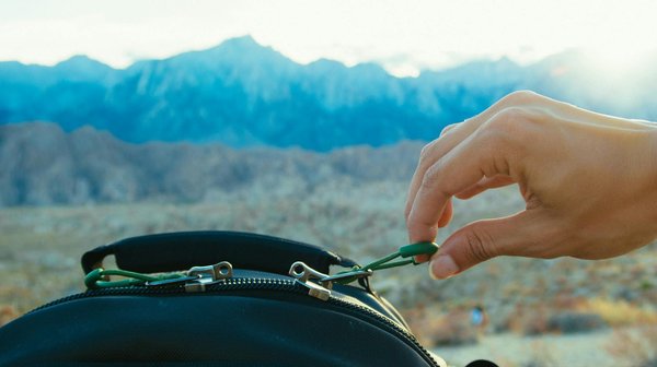 Welche Beschäftigungen sind ideal für ältere Hunde?